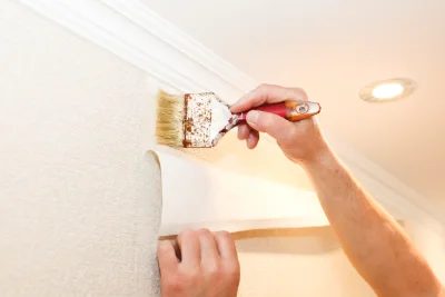 Pose de papier peint à Vergeroux — revêtements muraux et toiles de verre